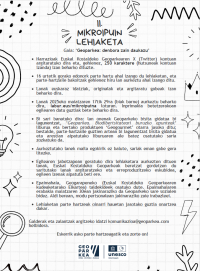II. MIKROIPUIN LEHIAKETA